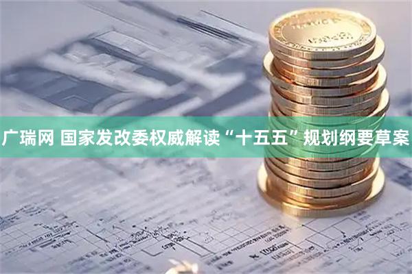 广瑞网 国家发改委权威解读“十五五”规划纲要草案
