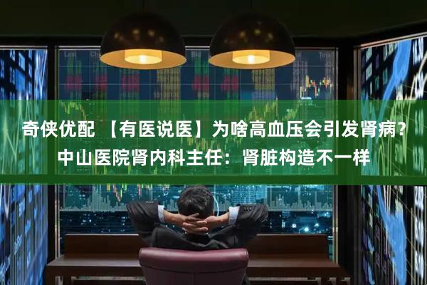 奇侠优配 【有医说医】为啥高血压会引发肾病？中山医院肾内科主任：肾脏构造不一样