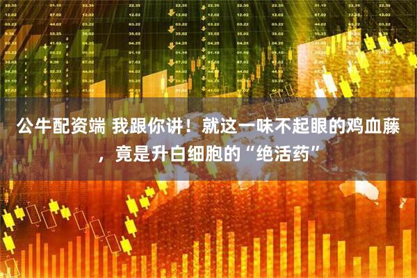 公牛配资端 我跟你讲！就这一味不起眼的鸡血藤，竟是升白细胞的“绝活药”