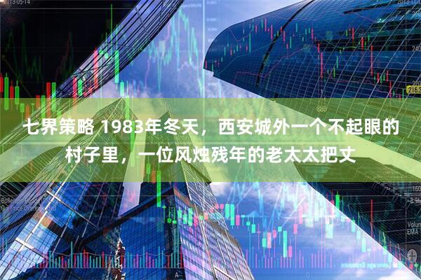 七界策略 1983年冬天，西安城外一个不起眼的村子里，一位风烛残年的老太太把丈