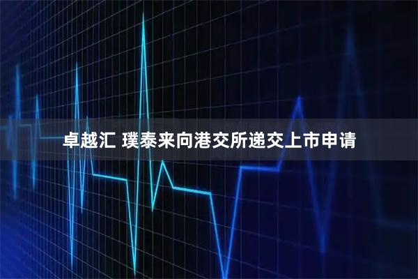 卓越汇 璞泰来向港交所递交上市申请
